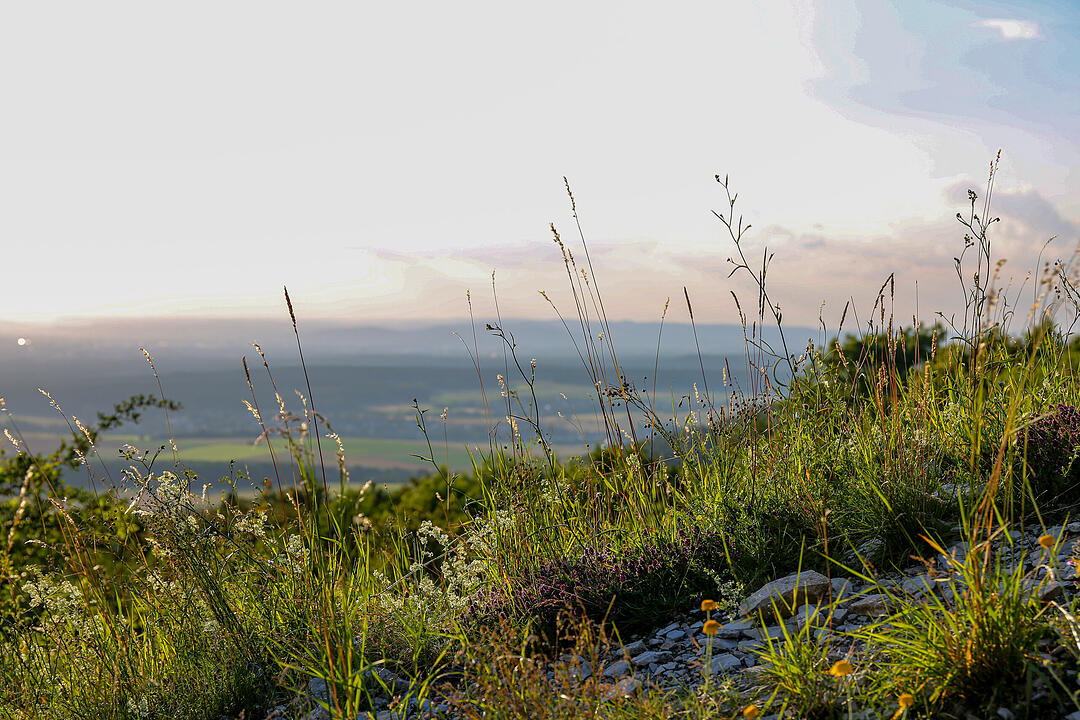 Herrliches Wandergebiet im Bamberger Umland