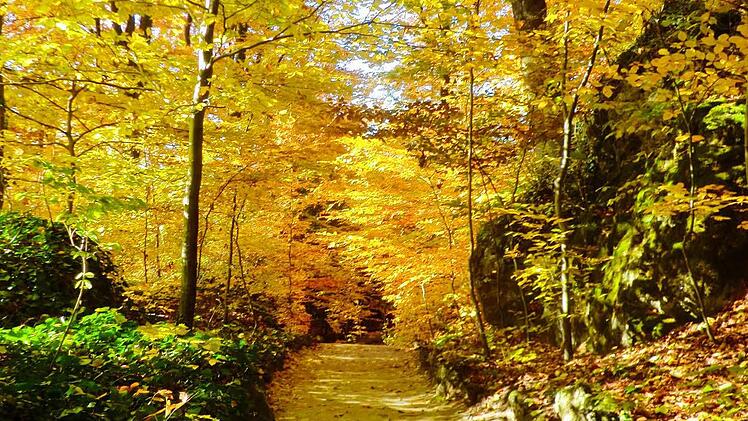 Userfoto: Michelle Reinke