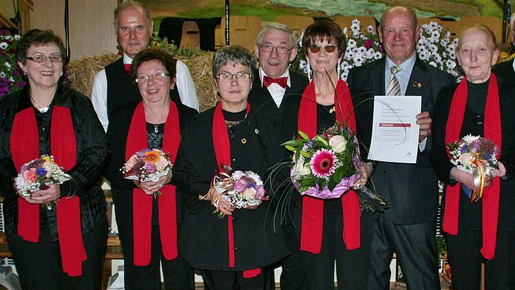 Geehrt wurden (von rechts) Siegfried Gottwald, Hildegard und Gerhard Kirchner, Martha Sandwall, Paul Kolb, Waltraud Wirsching, Albrecht Neugebauer, Erika Back, Hannelore Albert, Norbert Schmitt, Christa Kissner. Foto: Werner Vogel
