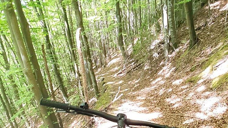 Toller Singletrail kurz bei Hungenberg Foto: Ronald Heck