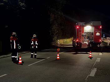 29-j&auml;hriger Motorradfahrer stirbt nach Kollision mit Baum