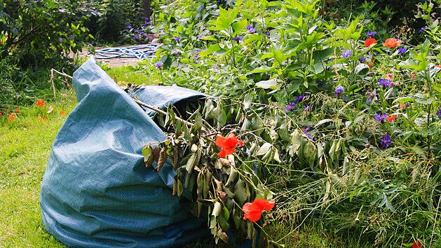 Bei der Gartenarbeit fällt viel Müll an - wo entsorge ich was?