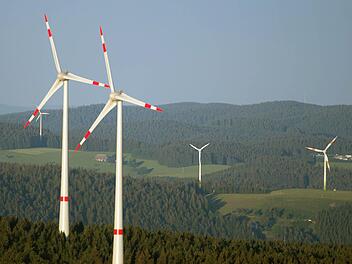 Der Thurnauer Gemeinderat hat am Montagabend grünes Licht gegeben für die Aufstellung von Bebauungsplänen für die Windparks Alladorf und Kleetzhöfe. Foto: Patrick Seeger, dpa
