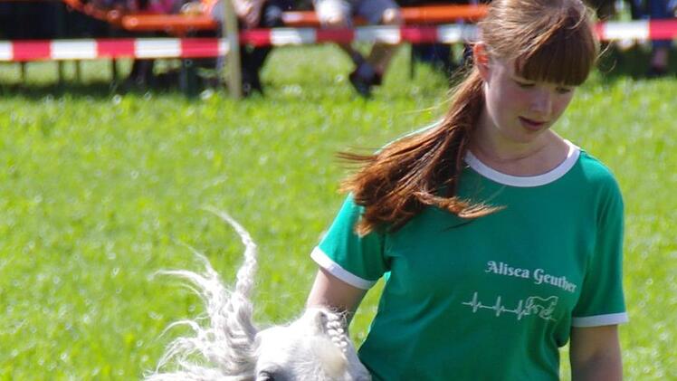 Tierheimfest in Kronach. Foto: Marco Meißner