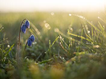 Wetter in Franken: Wochenausblick mit hohen Temperaturen