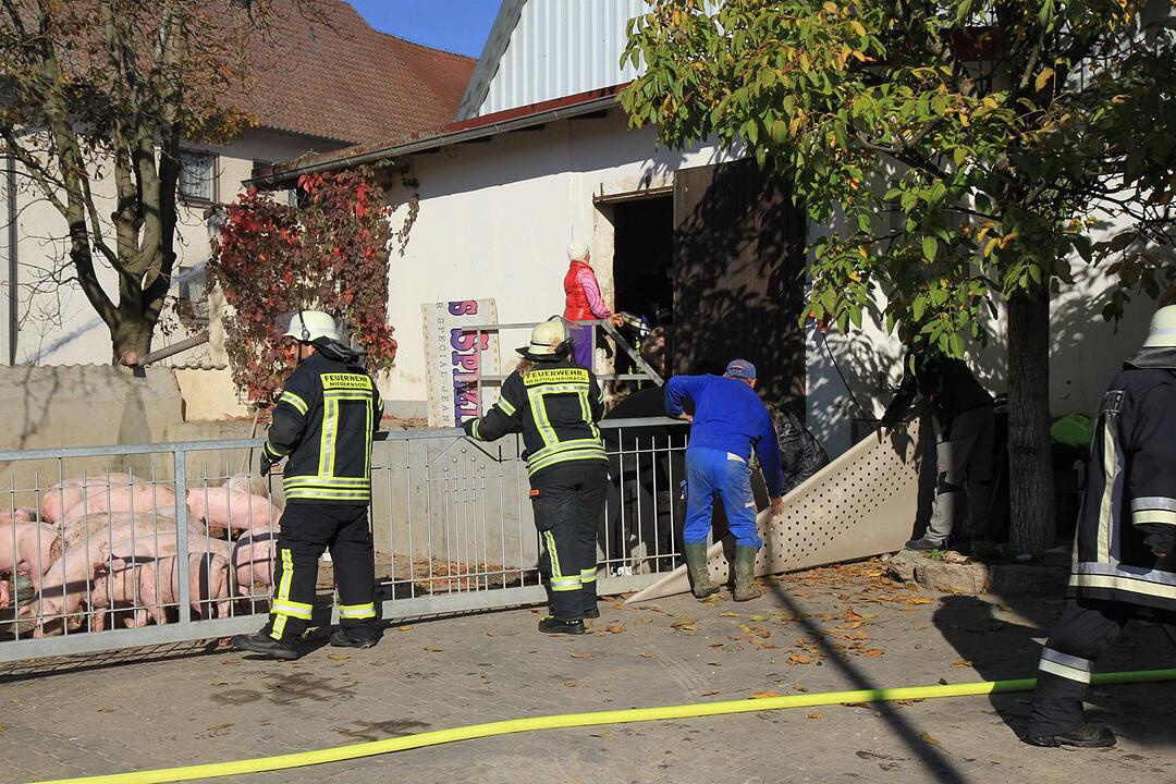 Brand in Schweinestall in Herzogenaurach