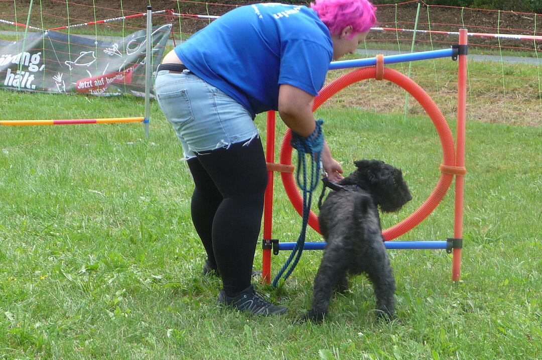 19.8.2017 Tierheimfest Kulmbach