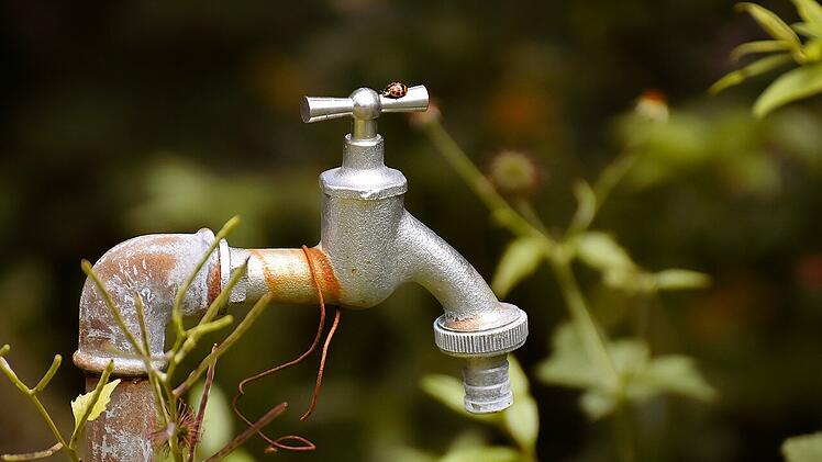 Wasserleitungen im Garten sind besonders gefährdet.