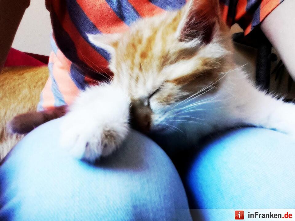 Foto: Jenny Rauscher