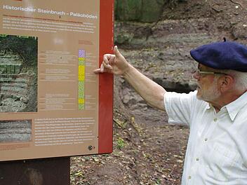 Roland Graf zeigt die Gesteinsschichten rund um die Festung. Foto: Marco Meißner