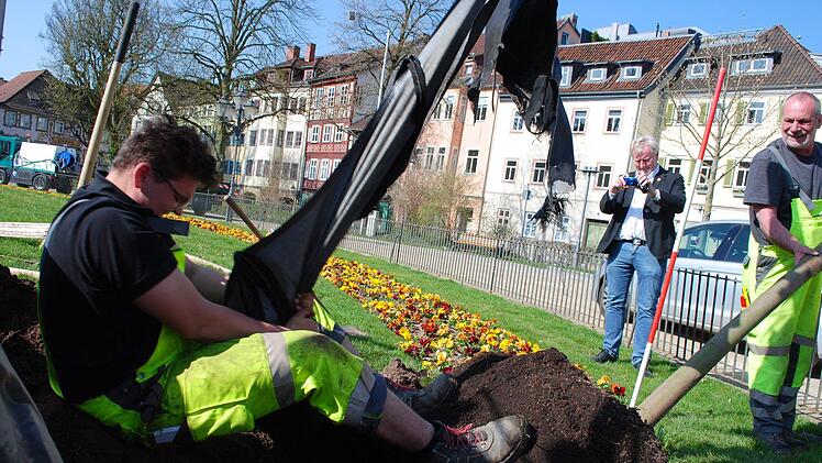 Die Schutzhülle hat sich mit den Wurzeln des Baumes verfangen.