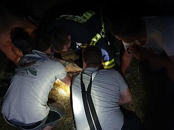 Feuerwehrleute und Jäger hieven nachts einen Rehbock aus dem Speichersee einer Erdbeerplantage in Reichenbach. Foto Christian Nöth