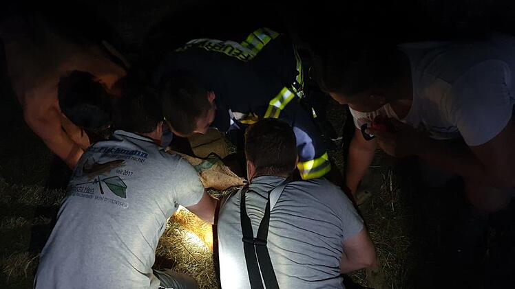 Feuerwehrleute und Jäger hieven nachts einen Rehbock aus dem Speichersee einer Erdbeerplantage in Reichenbach. Foto Christian Nöth