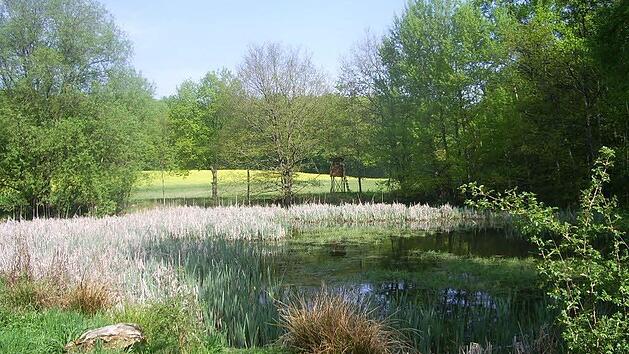 Der Nagelesee zwischen Kützberg und Obbach, eine der Sehenswürdigkeiten der Wanderung. Foto: Eva Braksiek