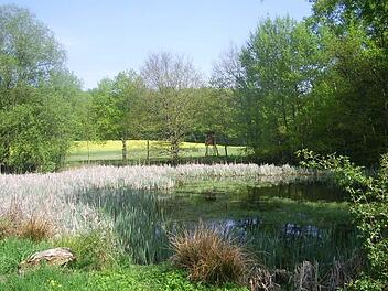 Der Nagelesee zwischen K&uuml;tzberg und Obbach, eine der Sehensw&uuml;rdigkeiten der Wanderung. Foto: Eva Braksiek