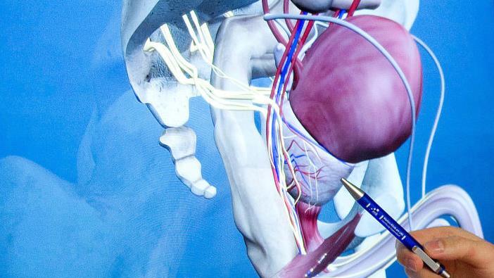 Männer können selbst viel für ihre Prostatakrebs-Vorsorge leisten. Denn: Viele Symptome von Prostatakrebs sind auch für Laien zu erkennen. Hier sind die wichtigsten Anzeichen für eine Prostatakrebs-Erkrankung. Symbolbild: Axel Heimken/dpa