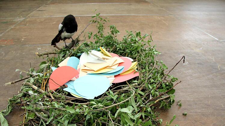 Wie der Vogelnachwuchs, so werden auch die Abiturienten flügge. Foto: Richard Sänger