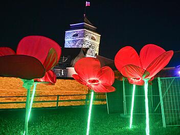 Auch in diesem Jahr lockt Kronach zahlreiche Besucher an, die die auffälligen Lichtkonstellationen bewundern und bestaunen wollen. Foto: Ronald Rinklef