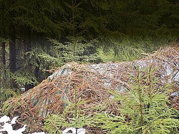 In diesem Unterschlupf hielt sich der "Waldläufer" versteckt. Foto: Polizei