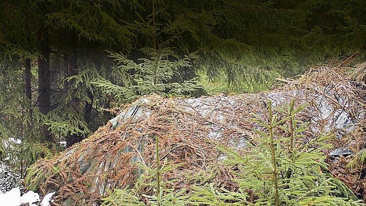 In diesem Unterschlupf hielt sich der "Waldläufer" versteckt. Foto: Polizei