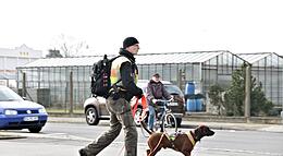 Vorschaubild