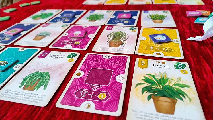 Sattgrün im Test - Familien-Legespiel zum Thema Zimmerpflanzen