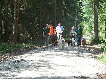 "Testlauf" mit Hunden auf dem neuen Verbindungsweg im Lahm (von links): Bernd Lauterbach, Revierförster Gregor Janus, Albert Schrenker, Daniela Busch und Landrat Michael Busch. Foto: Rainer Lutz