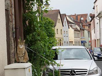Autos verstellen häufig das Bild in so mancher Altstadtgasse von Hammelburg. Foto: Archiv/Arkadius Guzy