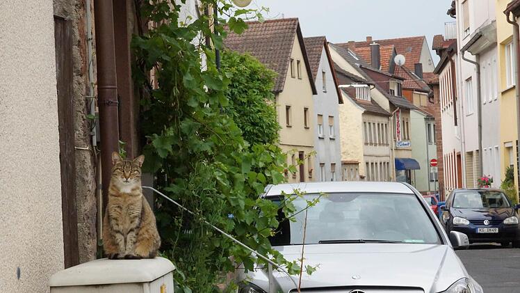 Autos verstellen häufig das Bild in so mancher Altstadtgasse von Hammelburg. Foto: Archiv/Arkadius Guzy