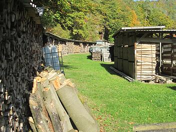 Die Holzpreise, die die Forstbetriebsgemeinschaft für das Gemeindeholz vorgeschlagen hatte, waren den Elfershausener Gemeinderäten zu hoch.
