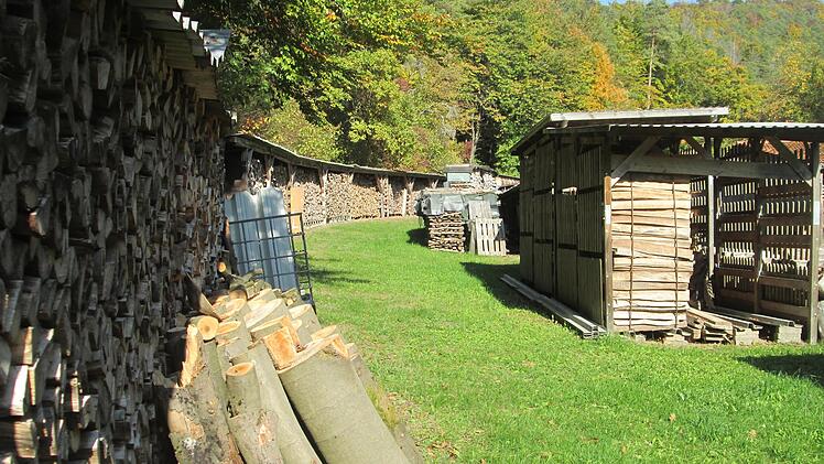 Die Holzpreise, die die Forstbetriebsgemeinschaft für das Gemeindeholz vorgeschlagen hatte, waren den Elfershausener Gemeinderäten zu hoch.