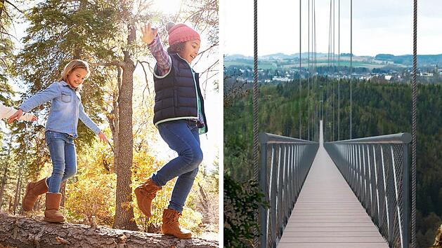 H&auml;ngebr&uuml;cken im Frankenwald: Hier soll 2024 ein neues Ausflugsziel entstehen