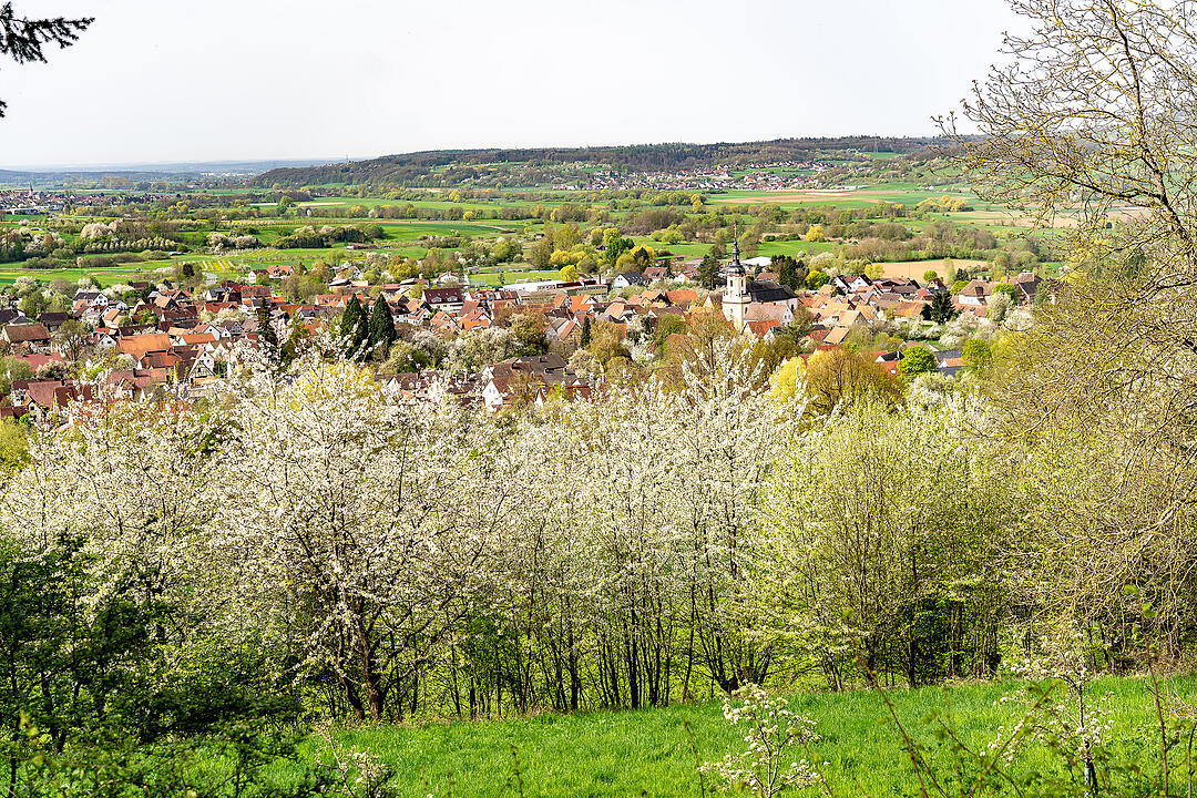 Unterwegs auf dem Kirschenweg.