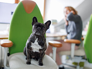 Nürnberger Unternehmen hat besondere "Entspannungsmanagerin" - häufig noch immer verboten