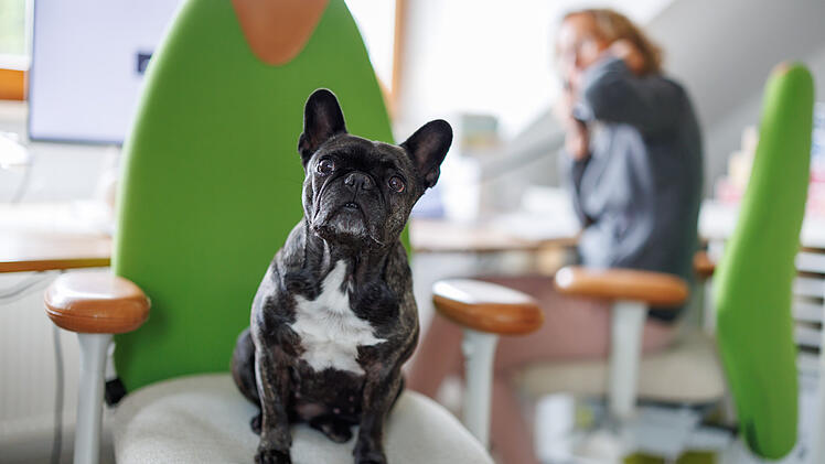 Nürnberger Unternehmen hat besondere "Entspannungsmanagerin" - häufig noch immer verboten