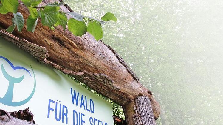 Nach einem mehr als zwei Jahre dauernden Streit nähern sich jetzt die Stadt Bad Kissingen und einer ihrer größten Arbeitgeber - die Heiligenfeld Kliniken - wieder einander an. Foto: Benedikt Borst
