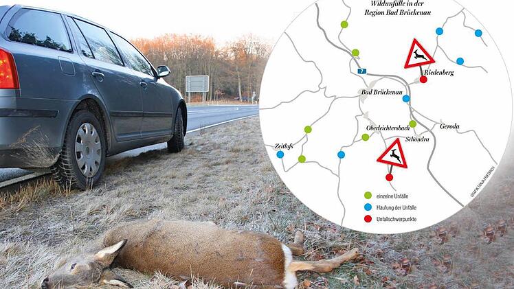 Immer wieder kommt es im Altlandkreis Bad Brückenau zu Wildunfällen, auch in den vergangenen Tagen starben ein Waschbär, ein Hase und sechs Rehe. Foto: Ralf Ruppert/Archiv