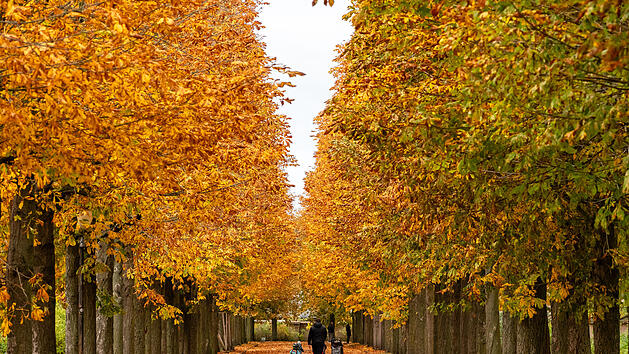 Herbststimmung in Franken