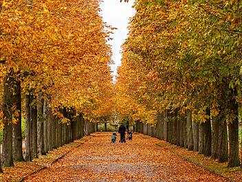 Herbststimmung in Franken