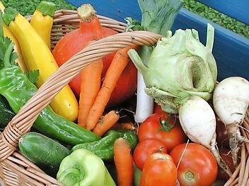 So vielfältig kann Gemüse aus dem eigenen Garten sein.  Foto: Thomas Neder