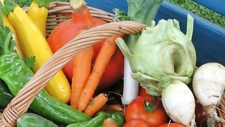 So vielfältig kann Gemüse aus dem eigenen Garten sein.  Foto: Thomas Neder