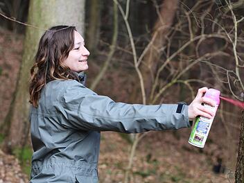 Wenn ein Baum nicht gesund ist, markiert ihn Rita Satzger.  Foto: Lea Schreiber