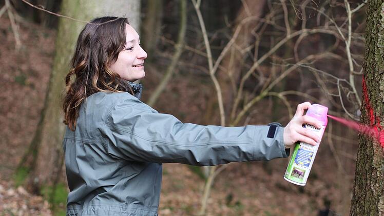 Wenn ein Baum nicht gesund ist, markiert ihn Rita Satzger.  Foto: Lea Schreiber