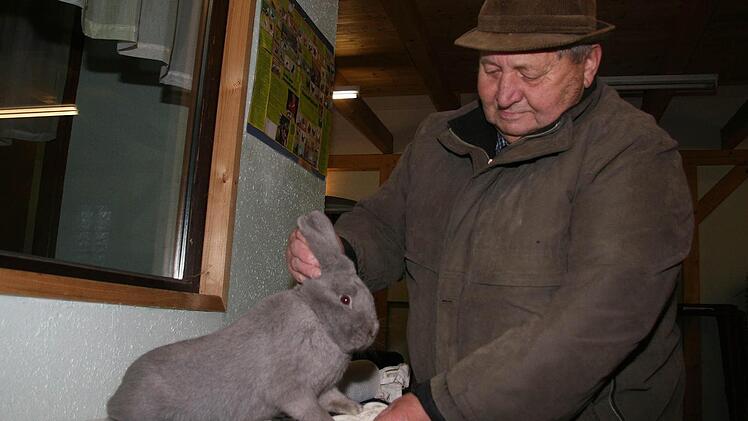 Die Marburger Feh müssen die Ohren schön aufstellen und haben eine schönes weiches blau-graues Fell.