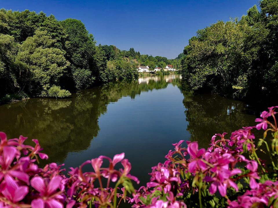 Die schönsten Sommerfotos aus Bamberg und Umgebung