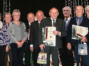 Die Vereinsjubilare vom FSV Phönix Buttenheim mit Laudatoren und Vorstandsmitgliedern Foto: p