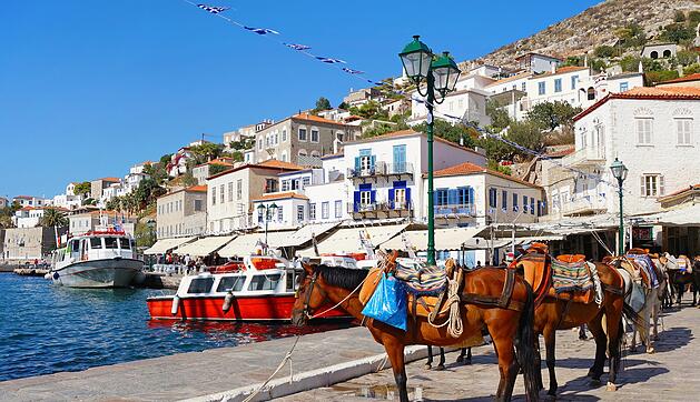 Mules Waiting for Tourists at the Port of Hydra Island in Greece Maultiere, die im Hafen der Insel Hydra in Griechenland auf Touristen warten
