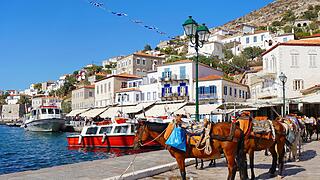 Mules Waiting for Tourists at the Port of Hydra Island in Greece Maultiere, die im Hafen der Insel Hydra in Griechenland auf Touristen warten