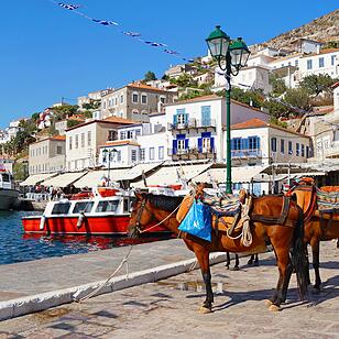 Mules Waiting for Tourists at the Port of Hydra Island in Greece Maultiere, die im Hafen der Insel Hydra in Griechenland auf Touristen warten