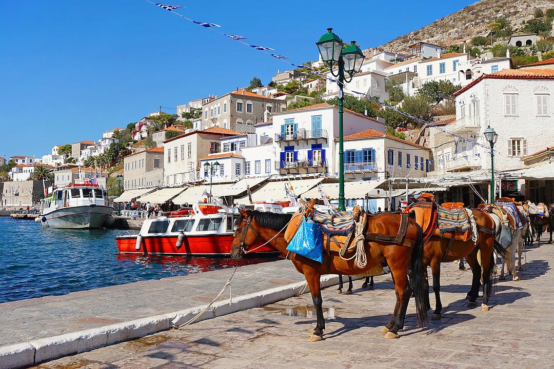 Mules Waiting for Tourists at the Port of Hydra Island in Greece Maultiere, die im Hafen der Insel Hydra in Griechenland auf Touristen warten